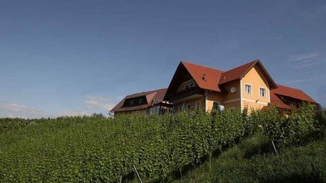 Idyllisch gelegenes Gästehaus inmitten sanfter Weinberge mit herrlichem Ausblick auf die umliegende Hügellandschaft