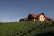 Idyllisch gelegenes Gästehaus inmitten sanfter Weinberge mit herrlichem Ausblick auf die umliegende Hügellandschaft