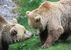 Cumberland Wildpark Grünau - Grünau im Almtal - Salzkammergut