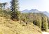 Triassic Park Waidring - Waidring - Kitzbüheler Alpen - PillerseeTal