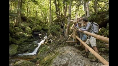Video Ysperklamm - wildes Wasser, wilder Wald