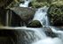 Ysperklamm - wildes Wasser, wilder Wald - Yspertal - Waldviertel