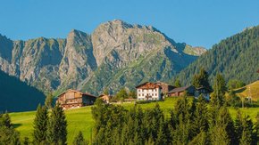 Bio-Bergbauernhof Ederhias
