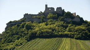 Burgruine Falkenstein