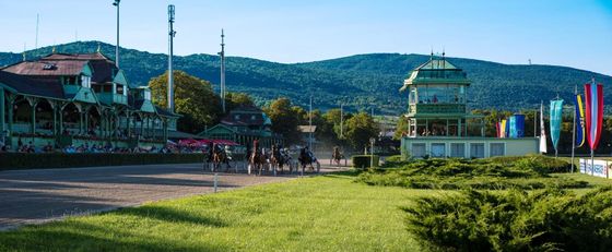 Traben in Baden - Baden - Wienerwald Thermenregion
