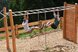 Kinder hangeln an einer Kletter- und Balancierstation auf einem Abenteuerspielplatz im Freien