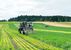WALDLAND - Friedersbach - Waldviertel