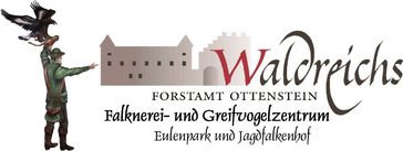 NÖ Falknerei- und Greifvogelzentrum Waldreichs - Pölla - Waldviertel