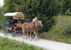 Pferdeschlittenfahrten Steinbauer - Ramsau am Dachstein - Schladming-Dachstein