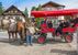 Fiakerei Neuner - Seefeld - Olympiaregion Seefeld