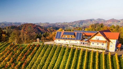 Weingut mit Gästehaus inmitten idyllischer Weinberge und herrlichem Panoramablick auf die sanfte Hügellandschaft