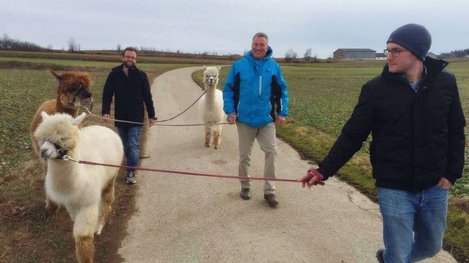 Alpakawanderung auf einem gemütlichen Spazierweg durch die Natur mit tierischen Begleitern und ländlicher Kulisse
