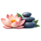Erholung & Wellness