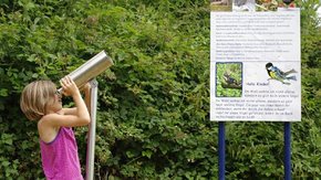 1. Mühlviertler Vogelkundeweg