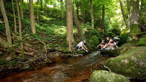 Ysperklamm - wildes Wasser, wilder Wald