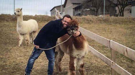Person mit einem Alpaka auf einer Weide neben einem Holzzaun in ländlicher Umgebung