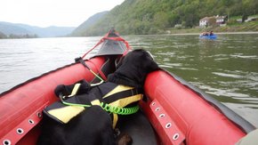 WACHAU SAFARI by yukon®