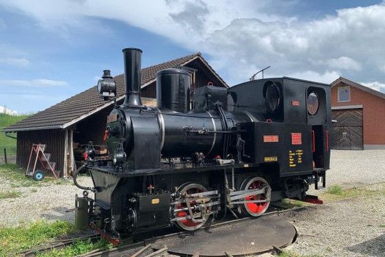 Rhein-Schaun Museum und Rheinbähnle - Lustenau - Bodensee