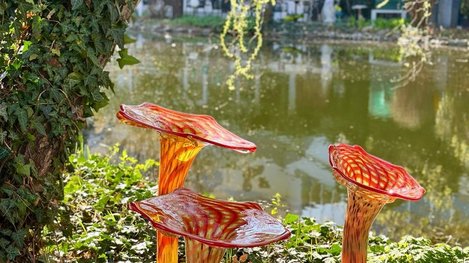 Künstlerische Glasinstallation mit leuchtend orangefarbenen Glasobjekten in einer natürlichen Garten- und Teichlandschaft
