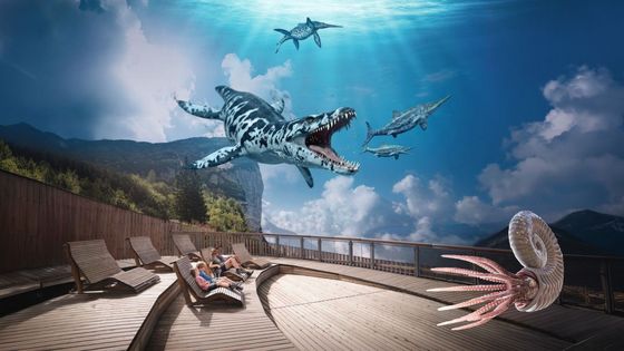 Triassic Park Steinplatte Waidring - Waidring - Pillerseetal