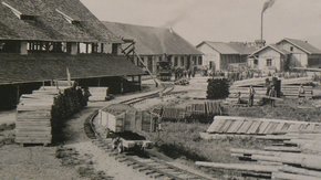 Rhein-Schaun Museum und Rheinbähnle