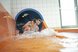 Eine Familie rutscht lachend eine Wasserrutsche hinunter