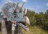 Triassic Park Steinplatte Waidring - Waidring - PillerseeTal