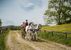 Lipizzanergestüt Piber - Köflach - Südsteiermark