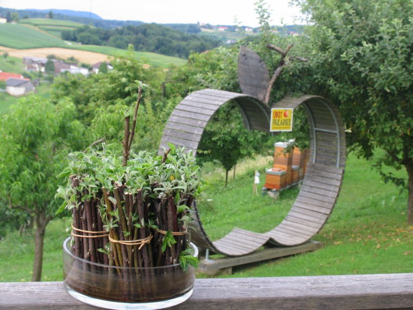 OBSTPARADIES - Neuhaus am Klausenbach - Südburgenland