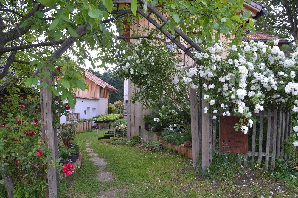 Naturgartenparadies Bio-Gärtnerei Anita Beisteiner - Lichtenegg - Wiener Alpen
