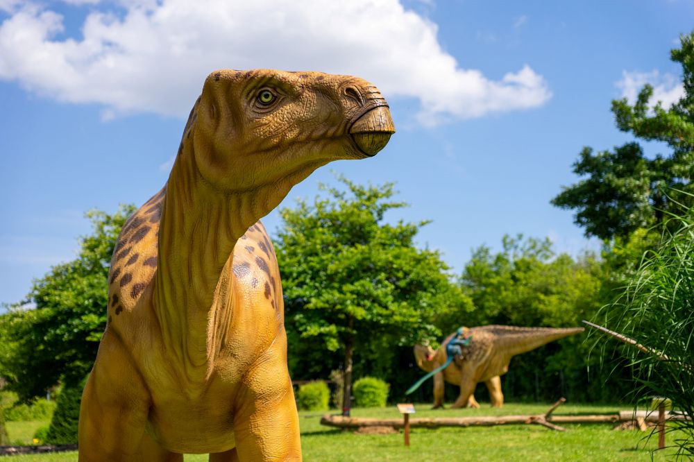 Dinopark Agrarium - Steinerkirchen a.d. Traun - Salzkammergut