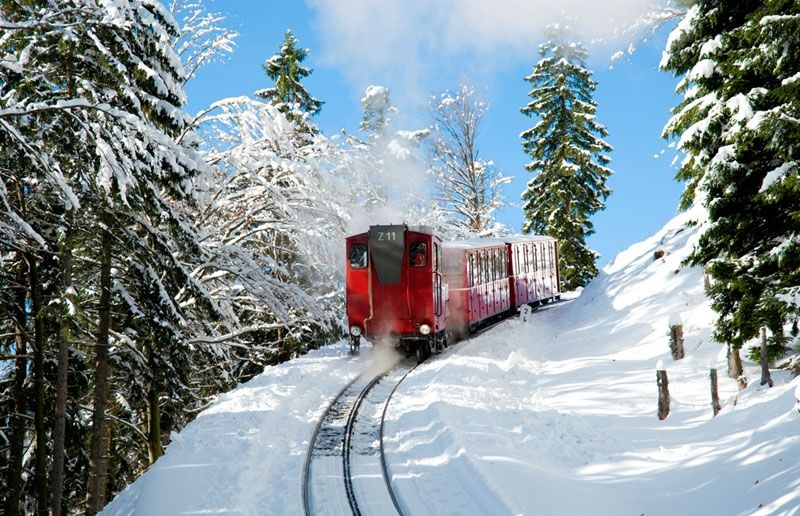 SchafbergBahn & WolfgangseeSchifffahrt - St. Wolfgang - Wolfgangsee