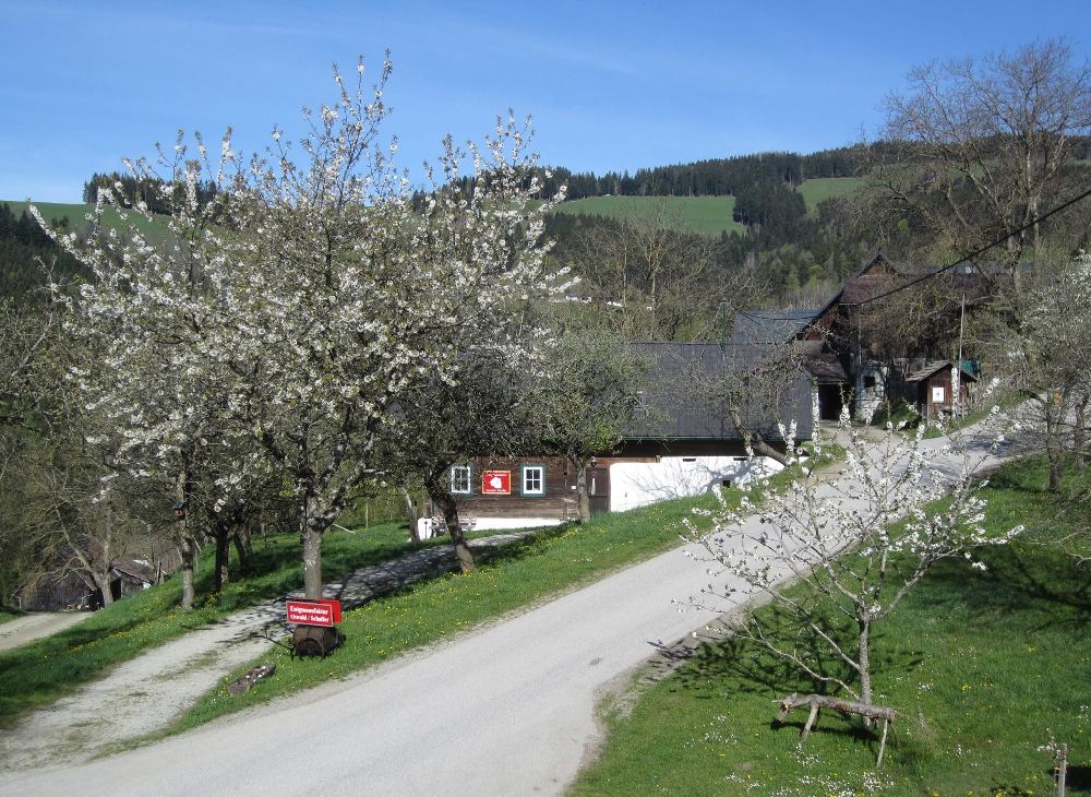 Essigmanufaktur Oswald / Schaffer - Koglhof bei Birkfeld - Oststeiermark