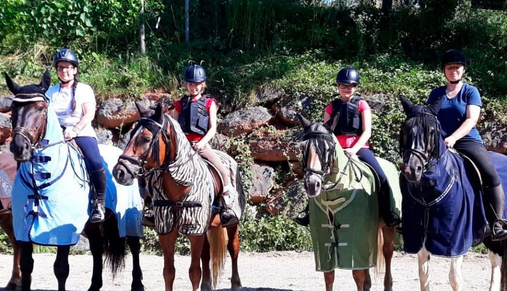 Haflingerhof Halbwachs - Kitzeck - Südsteiermark, Schilcherland & Lipizzanerheimat