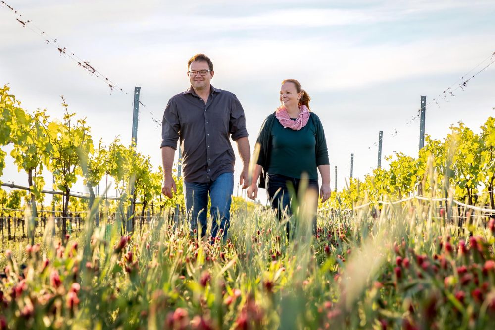 Bio-Weingut WEISS - Gols - Nordburgenland