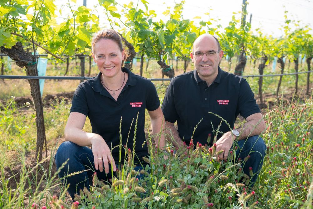 Weingut MERUM - Tadten - Nordburgenland