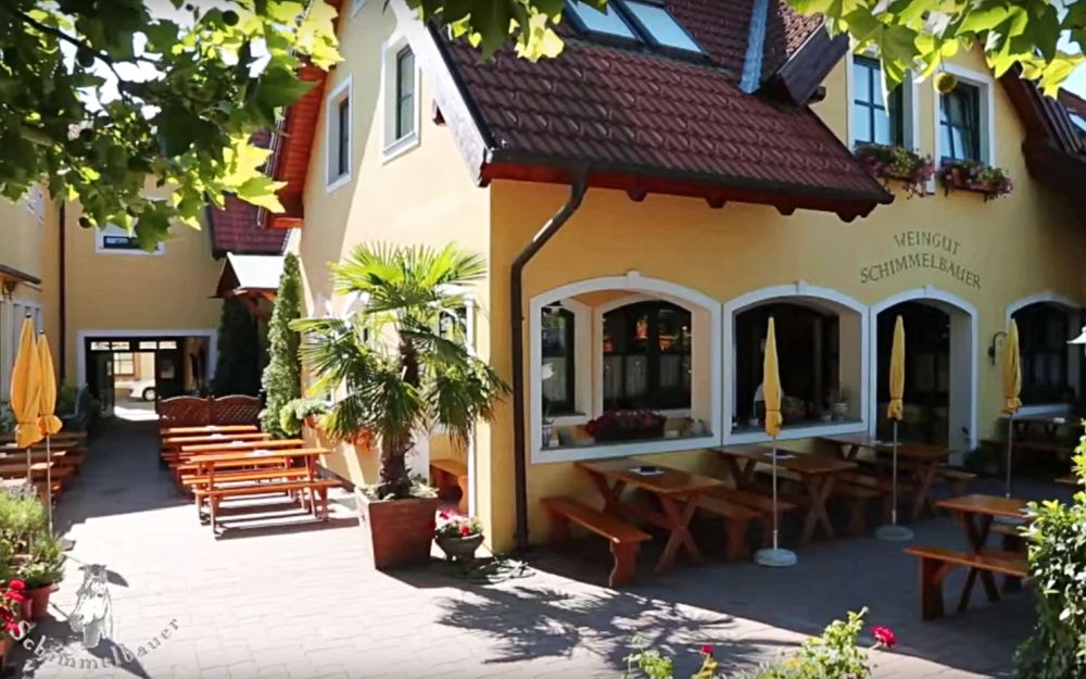 Schimmelbauer - Weinbau Familie Baumgartner - Guntramsdorf - Wienerwald Thermenregion