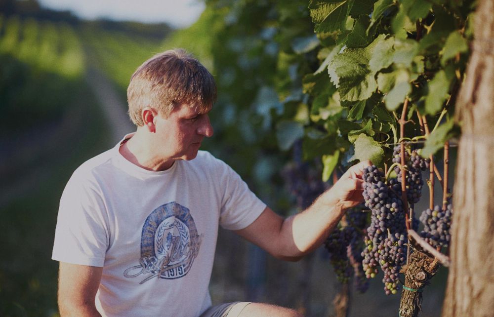 Weingut Gerhard Pimpel - Göttlesbrunn - Carnuntum - Römerland Carnuntum-Marchfeld