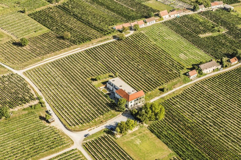 Weingut Hutter - Krems - Wachau-Nibelungengau-Kremstal