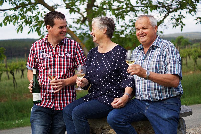 Weingut Steinschaden - Schiltern - Kamptal-Wagram-Tullner Donauraum