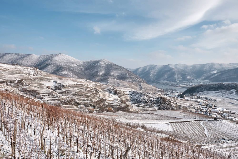 Weingut Roman Gritsch - Spitz an der Donau - Wachau-Nibelungengau-Kremstal