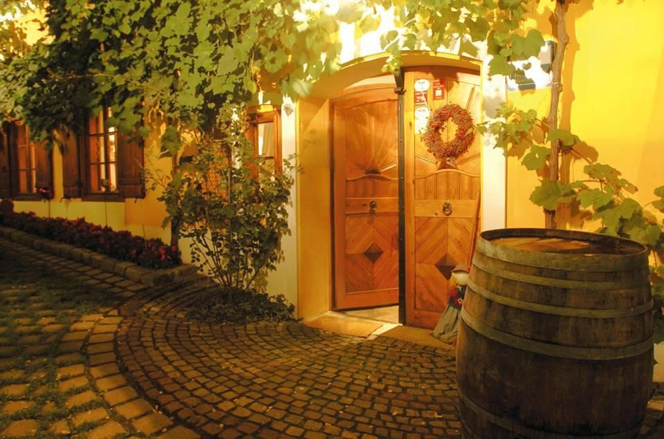 Weinstube Aichinger - Schönberg/Kamp - Kamptal-Wagram-Tullner Donauraum