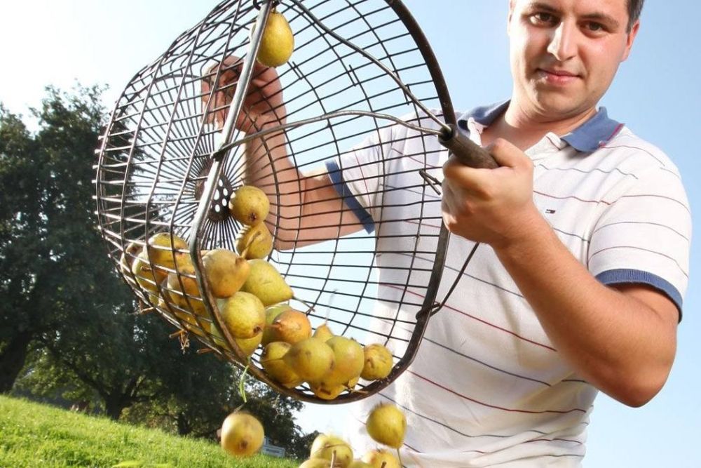 Schauer, das Beste aus Obst - St. Marienkirchen an der Polsenz - Donau Oberösterreich