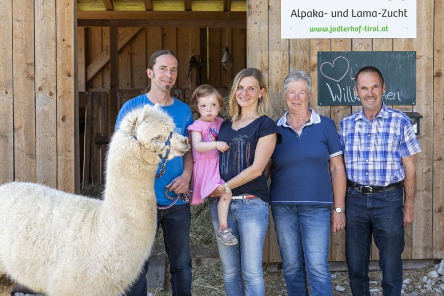 Jodlerhof - Alpaka- & Lamazucht - Schwendt - Kaiserwinkl