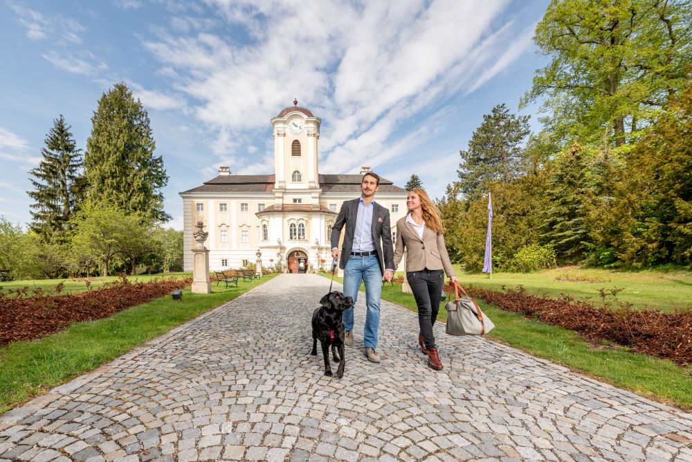 Schlosshotel Rosenau - Schloss Rosenau - Waldviertel
