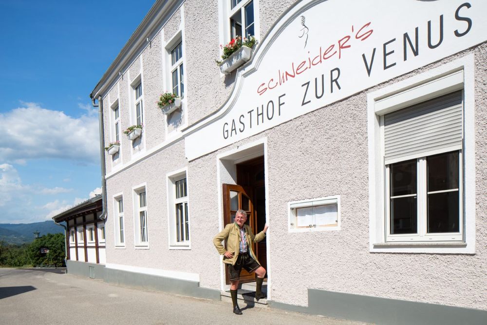 Schneider´s Gasthof zur Venus - Willendorf - Wachau-Nibelungengau-Kremstal