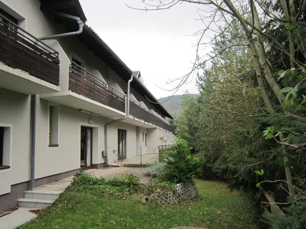 Waldpension Stachl - Hochwolkersdorf - Wiener Alpen