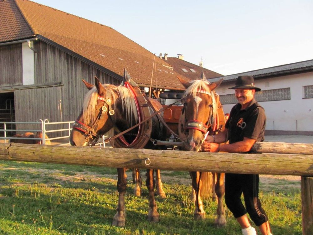 Scherhäufl Ranch - Mönchdorf - Mühlviertel