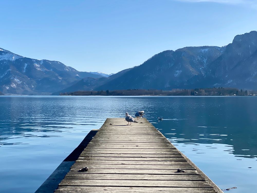 Seegut Kübler - Unterach - Mondsee-Irrsee
