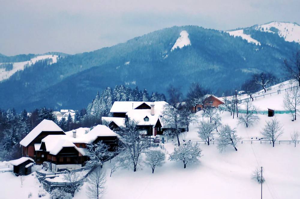 Biohof Schweiger - Hansl in Greith - St. Kathrein am Offenegg - Oststeiermark